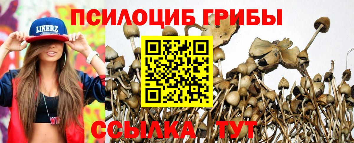 Псилоцибиновые грибы ЛСД Пыть-Ях