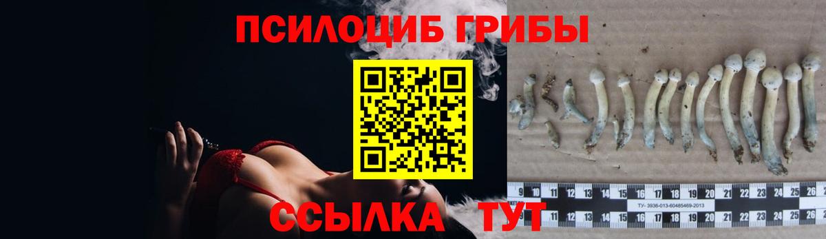 где купить наркоту  Вход с VPN  Пыть-Ях  Псилоцибиновые грибы MAGIC MUSHROOMS  Псилоцибиновые грибы Psilocybine cubensis 
